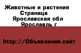  Животные и растения - Страница 26 . Ярославская обл.,Ярославль г.